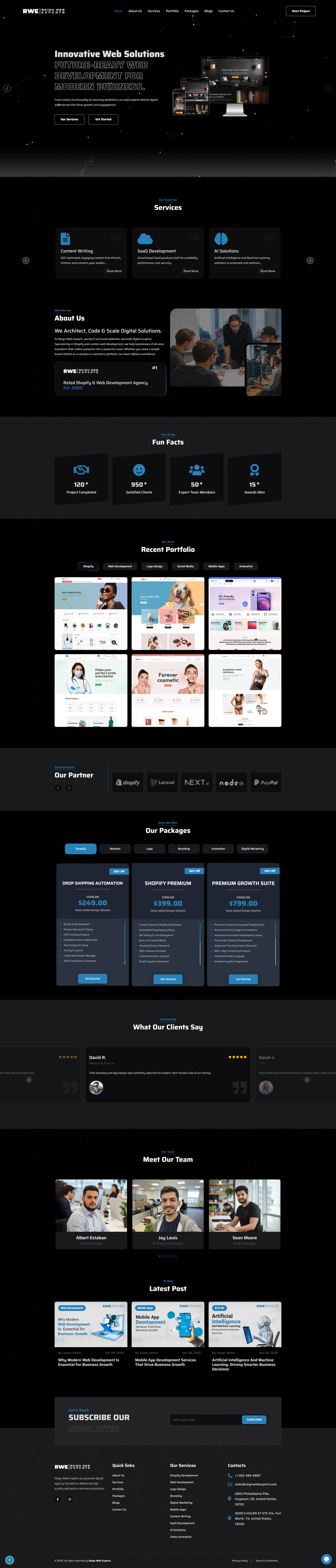 Reign Web Experts web design agency website screenshot